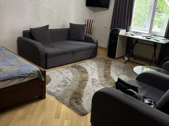 1-room apartment for rent on Aghmashenebeli Avenue, Chugureti, Tbilisi — bright living room with sofa, rug and green courtyard view