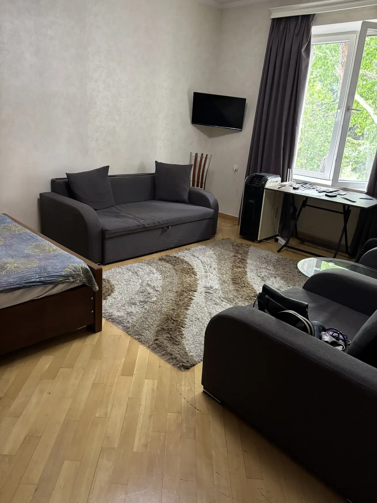 1-room apartment for rent on Aghmashenebeli Avenue, Chugureti, Tbilisi — bright living room with sofa, rug and green courtyard view