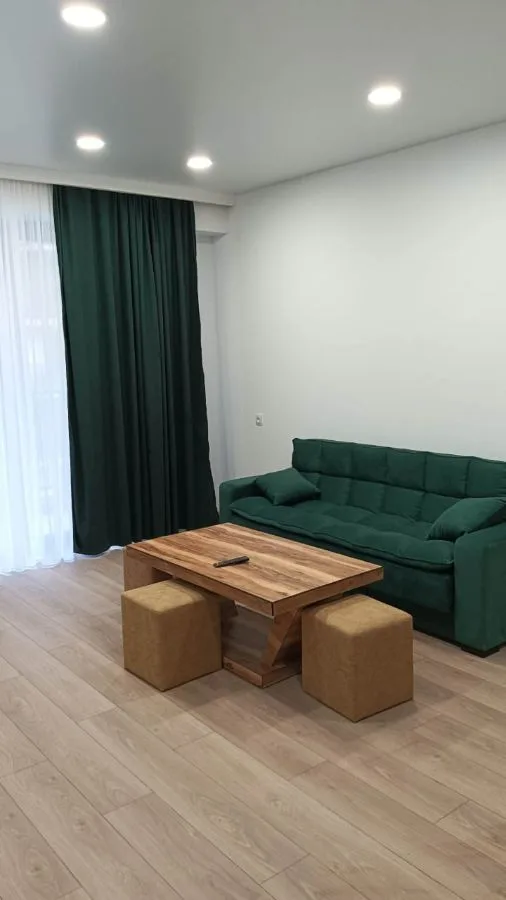 2-room apartment for rent on Chkondideli Street 101, Nadzaladevi, Tbilisi — living room with green sofa