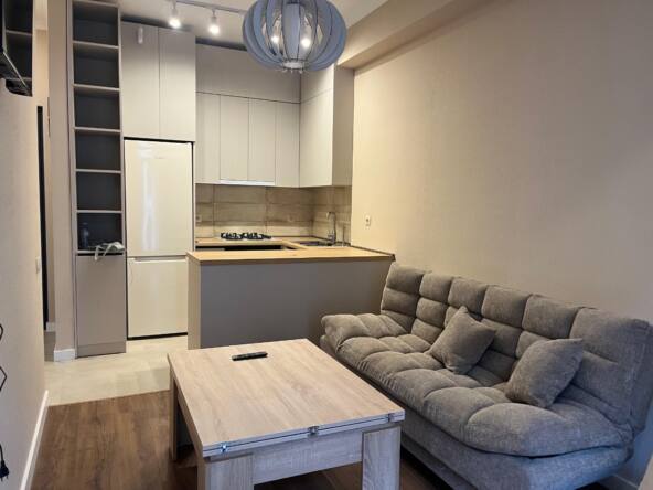 2-room apartment for rent on Chkondideli Street, Nadzaladevi, Tbilisi — living room with sofa and open-plan kitchen
