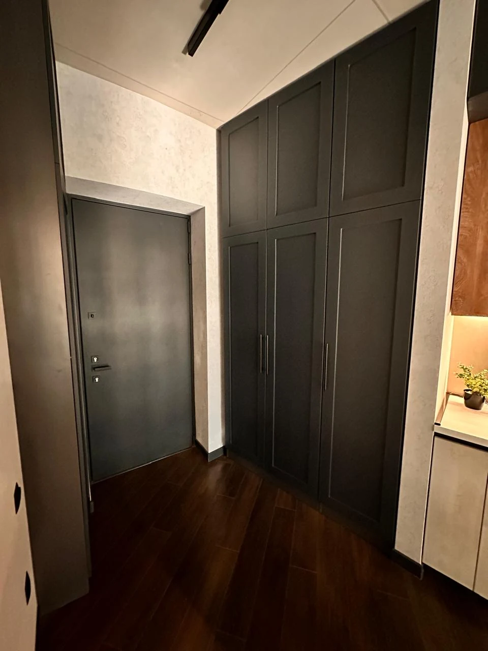 2-room apartment for sale on Chavchavadze Avenue, Vake, Tbilisi — entrance hall with fitted storage