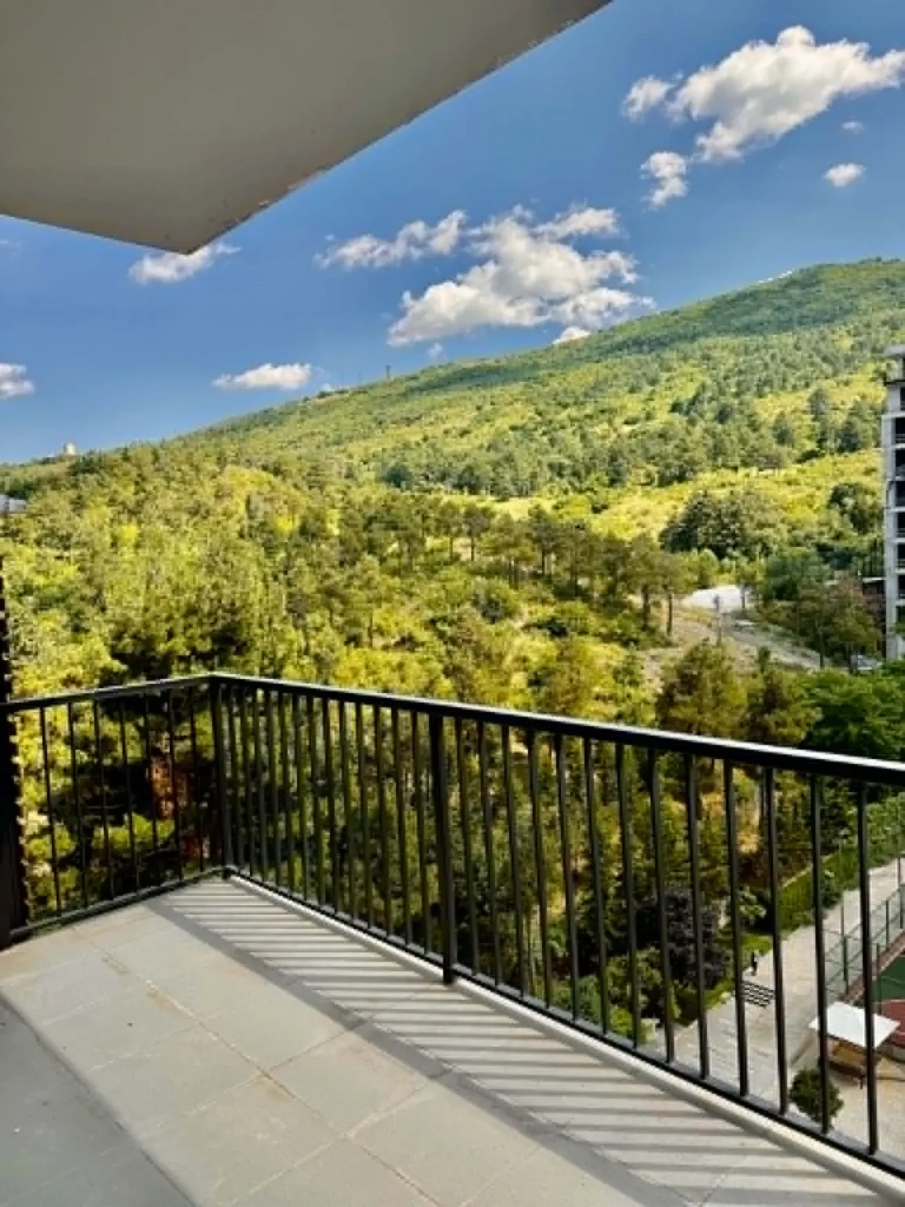 2-room apartment for sale on Ilia Chavchavadze Avenue, Vake, Tbilisi - balcony looking onto the wooded hillside