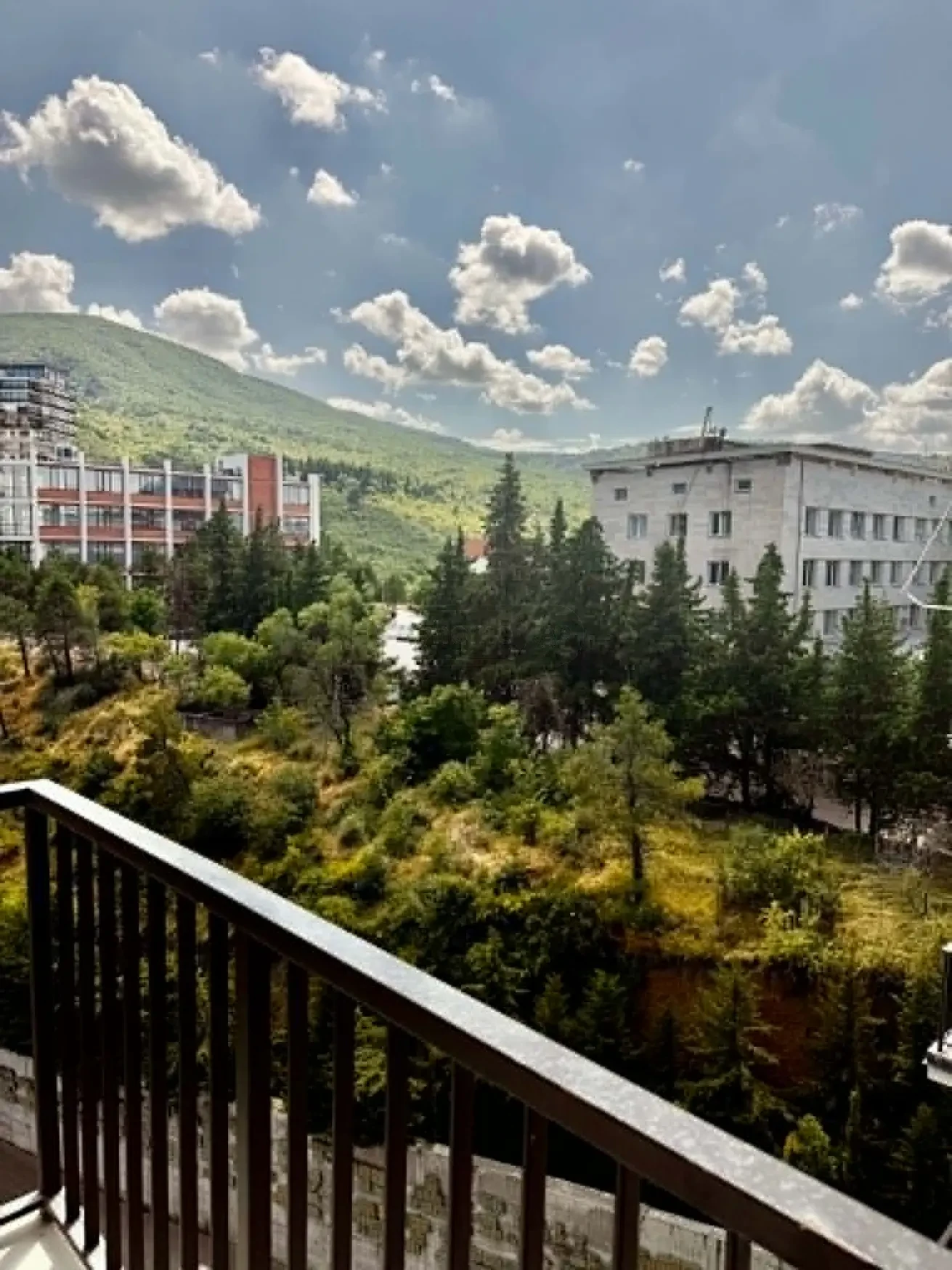 2-room apartment for sale on Ilia Chavchavadze Avenue, Vake, Tbilisi - balcony view over the trees towards Vake