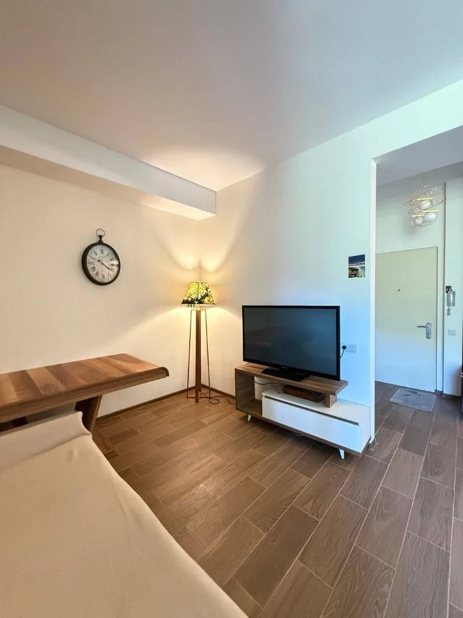 3-room apartment for sale on Chavchavadze Avenue, Vake, Tbilisi — living area with TV unit and entrance hall