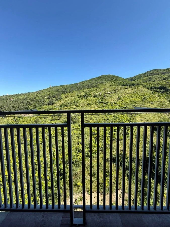 3-room apartment for sale on Chavchavadze Avenue, Vake, Tbilisi — forested hillside view from the balcony