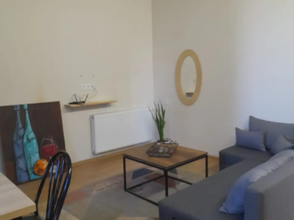 3-room apartment for rent on Tskneti Highway, Bagebi, Tbilisi — living room with grey sofa